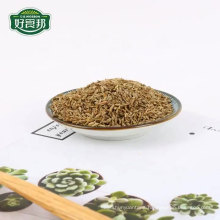 Chinese organic black cumin seeds supplier